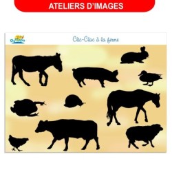 Atelier d'écoute et d'observation - Clic-clac à la ferme