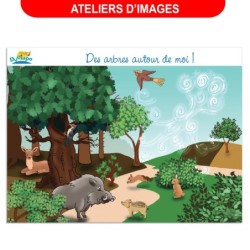 Atelier d'images - Des arbres autour de moi