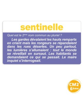 12 ateliers pour maîtriser la langue française – Dans le bon sens