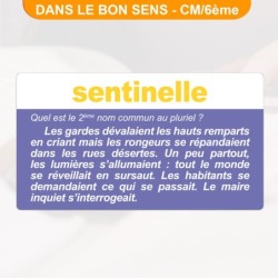 DANS LE BON SENS